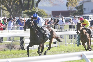 Pump Up The Volume. TDunell 09.05.15 Rotorua Cup G3